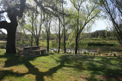 Naturaleza junto al río, cerca de La Posada del Castillo